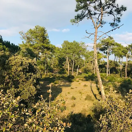 Maison Du Soleil, Lac, Golf Et Mer Saint-Jean-de-Monts